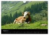 Die Welt der Kühe (Wandkalender 2027 DIN A4 quer), CALVENDO Produktbild-Vorschau 6