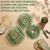 20 Stück Quadratisch Erdbeerreifer Gartenzubehör Produktbild-Vorschau 7