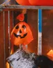 Dekorácie z tekvíc - tekvica - HALLOWEEN - 20 ks Náhľad obrázku produktu 4