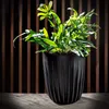 KADAX Blumentopf aus Kunststoff "Costa", mit Produktbild-Vorschau 2