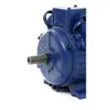 A close-up, side view of a blue electric motor. Voir les images du produit