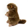 Kuscheltier Murmeltier 17 cm braun Produktbild-Vorschau 3