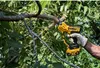 A person is using a DeWALT battery-powered pruning shear to cut a tree branch. Náhled obrázku produktu