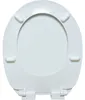 WC Sitz mit Absenkautomatik, Toilettendeckel mit Motiv | Produktbild-Vorschau 3