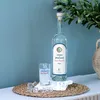 Ouzo di Plomari Isidoros Arvanitis | 40 % vol | 0,7 l Anteprima dell’immagine prodotto 7