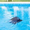 Beatbot Poolroboter AquaSense 2 Kabellos App-Steuerung Produktbild-Vorschau 10