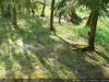 Outdoor Wildlife Hunting Trail und Wildkamera OXE Spider Produktbild-Vorschau 36