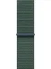 Apple MYJ93ZM/A accessoire intelligent à porter sur soi Voir les images du produit 1