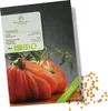 Graines de tomates(cœur de bœuf, 10 graines) - Graines de Voir les images du produit 1