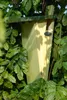 Cassetta nido Esschert Design per giardino; NKBK Anteprima dell’immagine prodotto 7