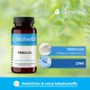 Bioherba | Tribulus Terrestris 250 mg Produktbild-Vorschau 6