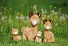 Peluche di alpaca NICI 0 Anteprima dell’immagine prodotto 5