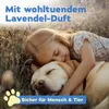 bio-chem Hunde Geruchsentferner Spray 750 ml - Produktbild-Vorschau 5