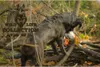 Gioco per cani Wild Life Pigeon Anteprima dell’immagine prodotto 3