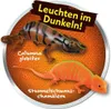 Durchgeknallt -Top Media, Inh. Helmut Glöditzsch Chamäleons Produktbild-Vorschau 4
