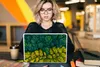 MuchoWow® Laptop Aufkleber Sticker Cover Wald - Bäume - Produktbild-Vorschau 5