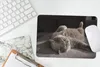 MuchoWow® Mauspad Mousepad Tier - Katze - Grau 27x18 cm - Produktbild-Vorschau 5