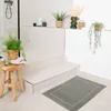 A bathroom scene with a rug, stool, plants, and shower. Náhled obrázku produktu