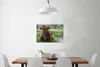 MuchoWow® Poster Schottisches Hochlandrind - Kröte - Tiere Produktbild-Vorschau 2