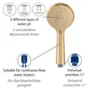 Diagram showing features of a gold-colored showerhead. Produktbild-Vorschau