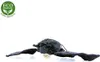Pipistrello Peluche 50 Cm Ecologico Anteprima dell’immagine prodotto 5