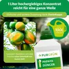 Purgrün -Papaya-Dünger 1 Liter, Produktbild-Vorschau 4