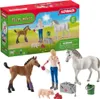 Schleich Farm World Arztbesuch bei Stute und Fohlen 42486 Produktbild-Vorschau 7