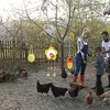 SUQ 5PCS Hühnerspielzeug für Stallzubehör, Produktbild-Vorschau 5