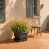 Bac à plantes XXL avec réservoir d'eau et soucoupe - Pot de Voir les images du produit 1