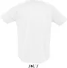 Mens Raglan Sleeves T Sporty Produktbild-Vorschau 3