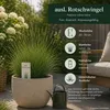 Ausl. Rotschwingel festuca rubra 1kg für ca. 500 m² - dicht Produktbild-Vorschau 3