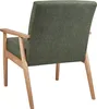 A rear view of a green upholstered armchair with light brown wooden armrests and legs, isolated on a white background. Náhled obrázku produktu