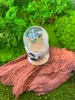 Onwomania Wasser Schildkröte Turtle Höhe 6,5cm Schneekugel Produktbild-Vorschau 3