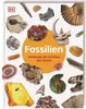 Fossilien Produktbild-Vorschau 1