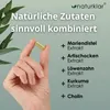 Leber Plus hochdosiert - 80% Silymarin, Mariendistel Produktbild-Vorschau 4