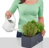 Samozavlažovací hrantík Lechuza Balconissima 40 cm sivý Náhľad obrázku produktu 21