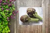 MuchoWow® Produktbild-Vorschau 5