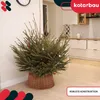 A Christmas tree in a woven basket stand, placed in a room with a kitchen in the background. Náhľad obrázku produktu