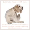 CaniMove dermal maxi (ab 10kg) Produktbild-Vorschau 4