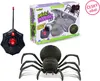 A product shot featuring a toy spider, its remote control, and its packaging. Anteprima dell’immagine prodotto