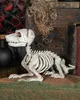 Schnauzer Hundeskelett als Halloween Dekoration 27 cm Produktbild-Vorschau 2