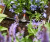 Gardena Fully Automatic Flower Box Watering (1407-20) Voir les images du produit 16