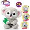 Moose Toys Little Live Pets - My Baby Koala Kiki, Náhľad obrázku produktu 7