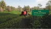 Lawn Mowing Simulator Landmark Edition (PS4) Produktbild-Vorschau 6