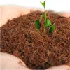 Hands holding soil with young plants growing. Anteprima dell’immagine prodotto