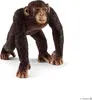Schleich, Figurine Wildlife Männlicher Schimpanse aus den Produktbild-Vorschau 7