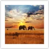 Poster - Poster ohne Rahmen - Elefanten Safari Dschungel Produktbild-Vorschau 1