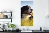 MuchoWow® Poster Berner Sennenhund im Gras liegend 60x120 Produktbild-Vorschau 3