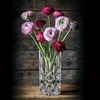 Nachtmann Noblesse, Vase mit runder Form, Glas, Produktbild-Vorschau 14