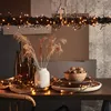 A table setting with decorative lights, dried plants, and nuts. Podgląd zdjęcia produktu